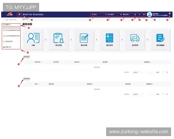 尊龙人生就是博首页登录网页：详细介绍登录流程与常见问题解决方案